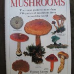 EYEWITNESS HANDBOOK: MUSHROOMS