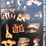 WILD MUSHROOMS OF TELLURIDE