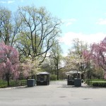 nybg