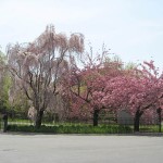 nybg entrance