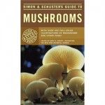Simon & Schuster's Guide to Mushrooms