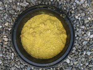 CattailPollen