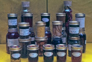 cannedFoods