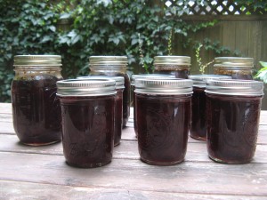 canningJars
