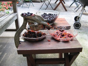 cherryPitter