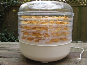 dehydrator