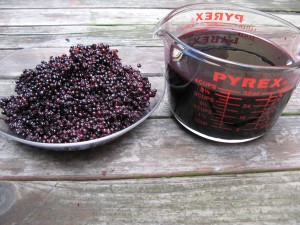 elderberryJuice