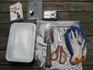 foragingGear