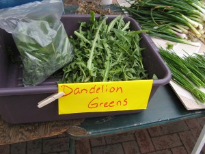 market dandelion
