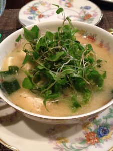 miso:Rebecca