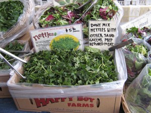 nettlesFarmers