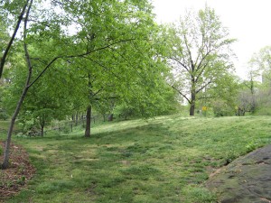 park