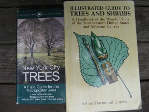 treeGuides