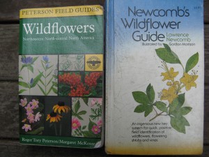 wildflowerGuides